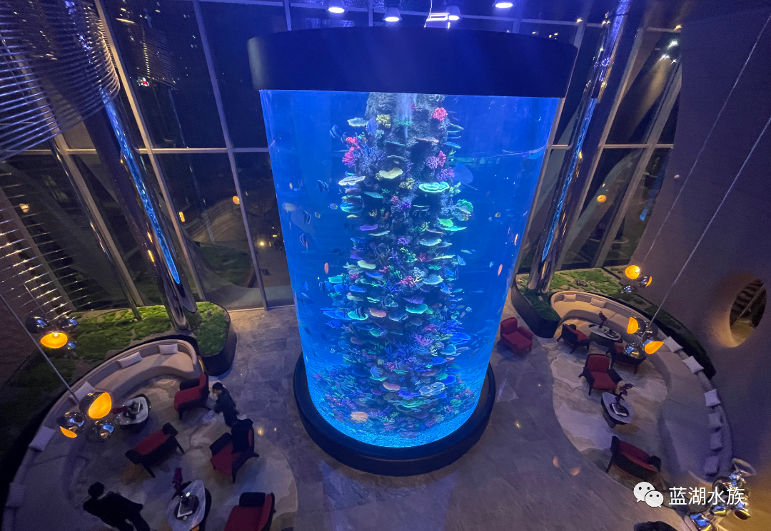 Acrylic Cylinder Aquariums Commercial Project, Changsha, China