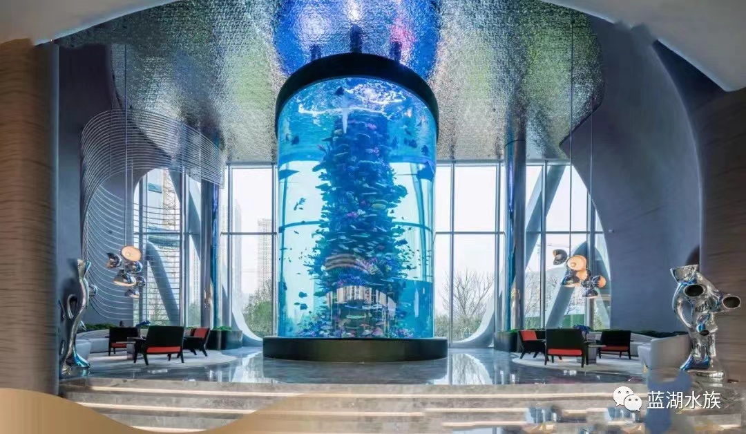 Acrylic Cylinder Aquariums Commercial Project, Changsha, China